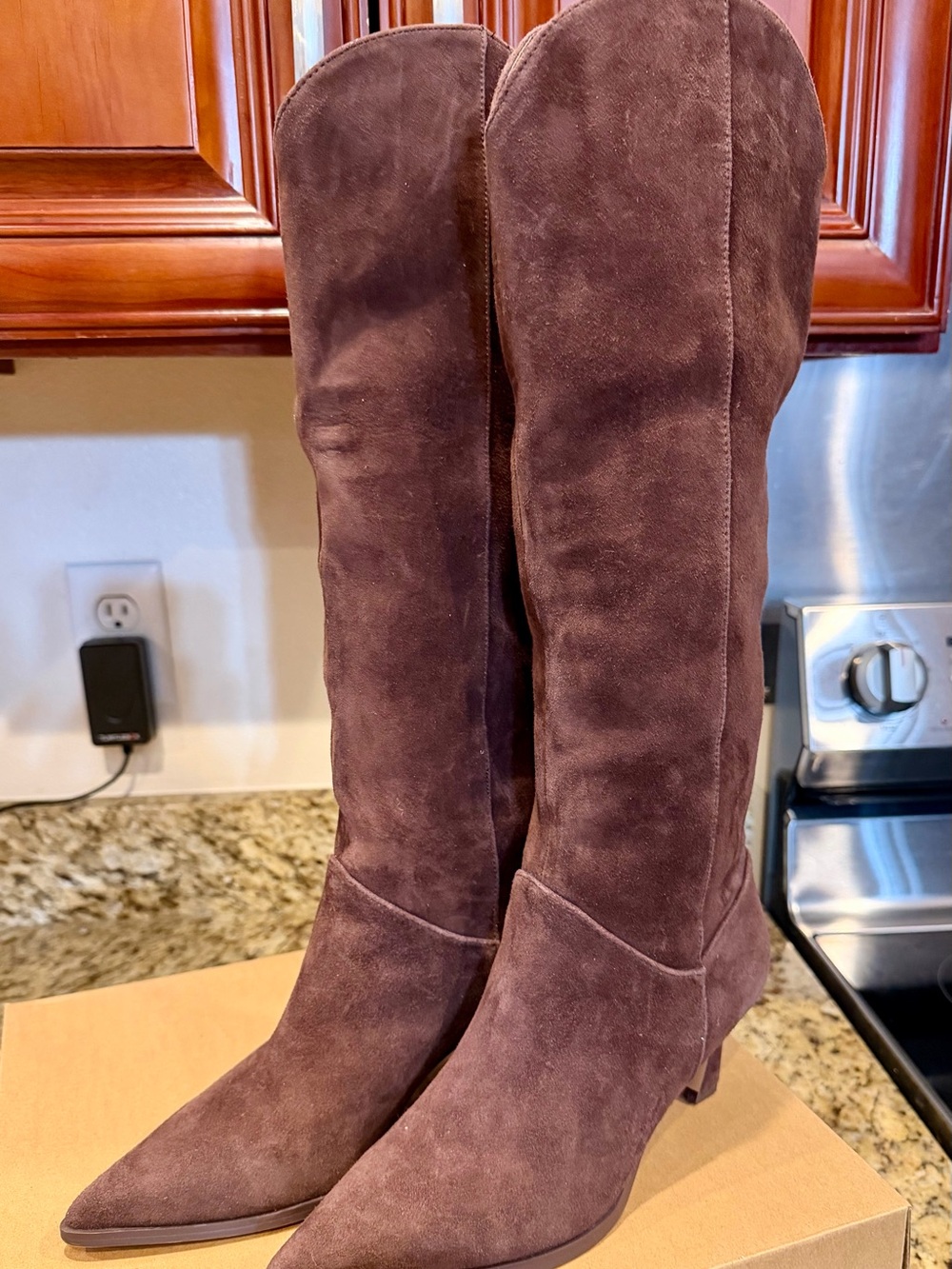 Steve Madden Tall Pointed-Toe Under The-Knee Suede Boots in Dark Brown